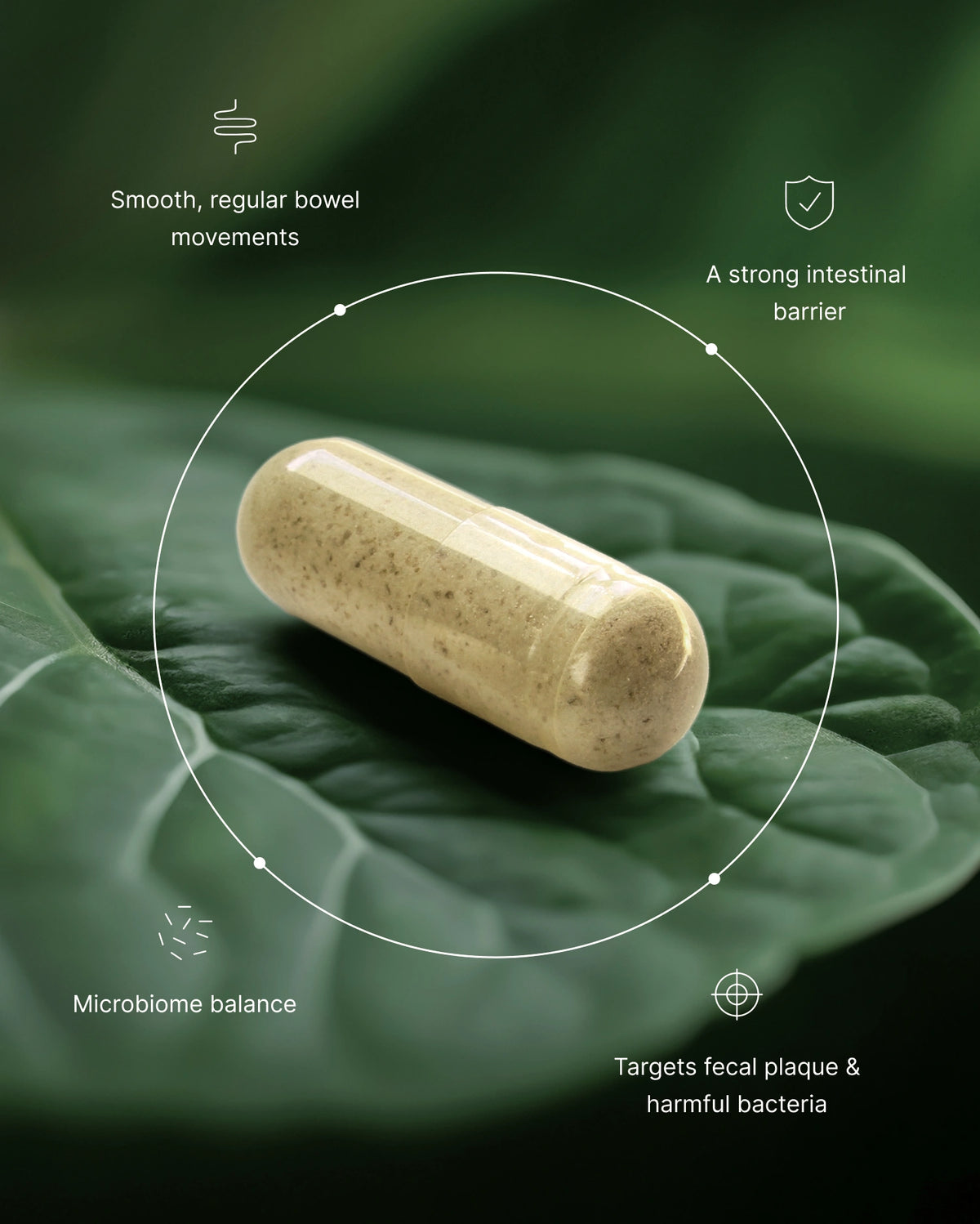 Elimipure Intestinal Wellness Support Supplement