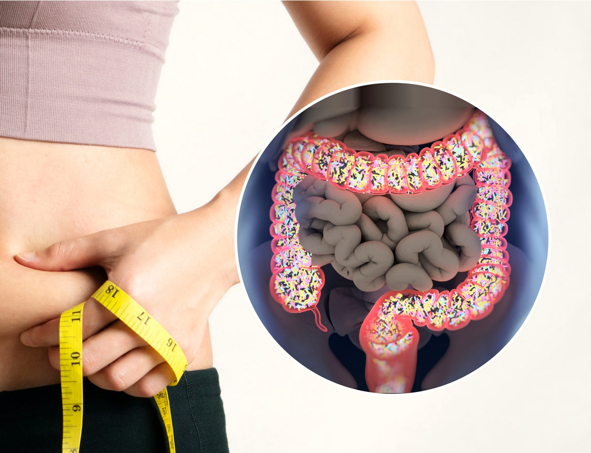 Elimipure supports a balanced gut environment for daily wellness