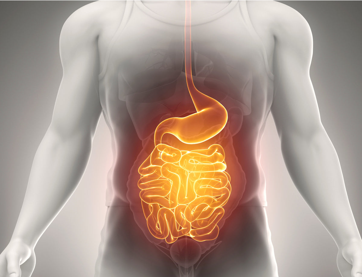 Take back control of your digestive wellness